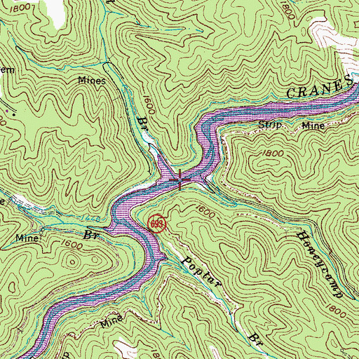 Topographic Map of Neel Branch, VA