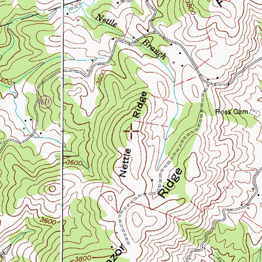 Topographic Map of Nettle Ridge, VA