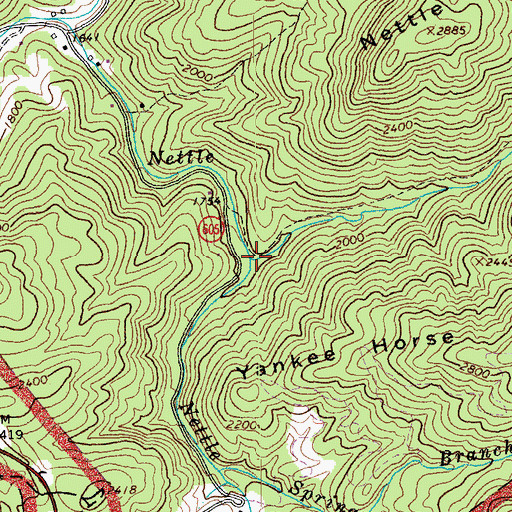 Topographic Map of Nettle Spring Branch, VA