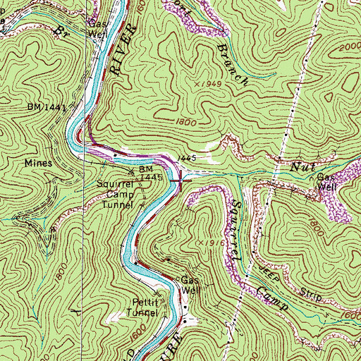 Topographic Map of Nut Branch, VA