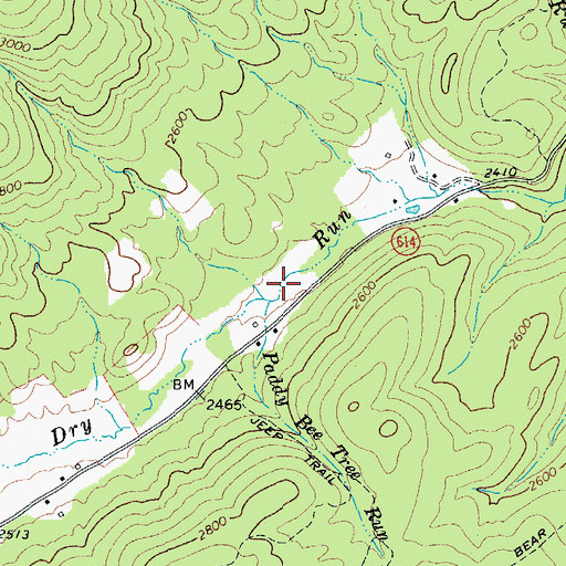Topographic Map of Paddy Bee Tree Run, VA