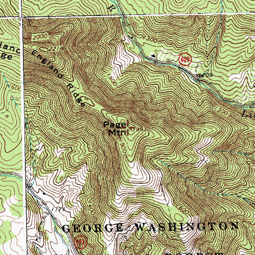 Topographic Map of Page Mountain, VA