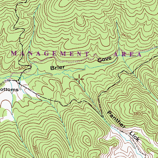 Topographic Map of Panther Lick Cove, VA