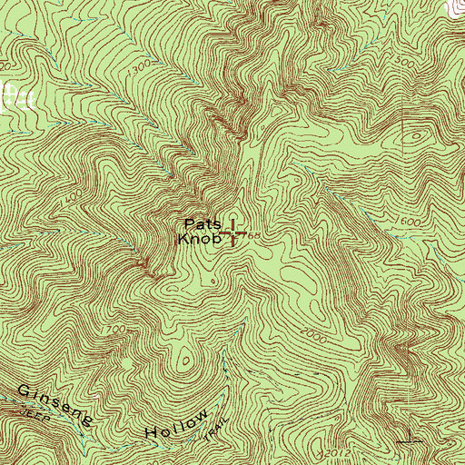Topographic Map of Pats Knob, VA