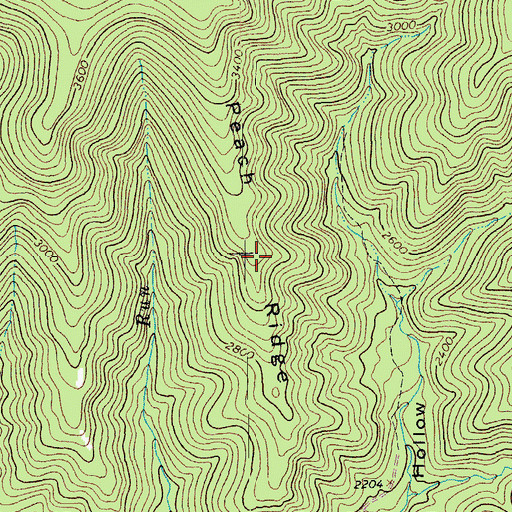 Topographic Map of Peach Ridge, VA