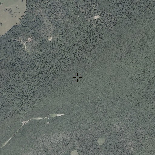 Aerial/Satellite Image of Peters Mountain, VA