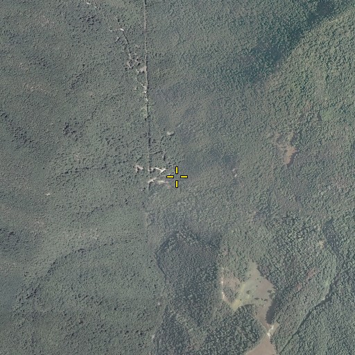 Aerial/Satellite Image of Pickles Branch, VA