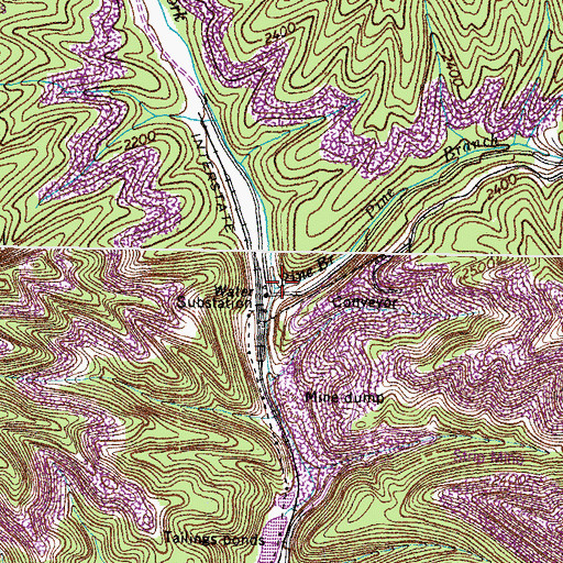 Topographic Map of Pine Branch, VA
