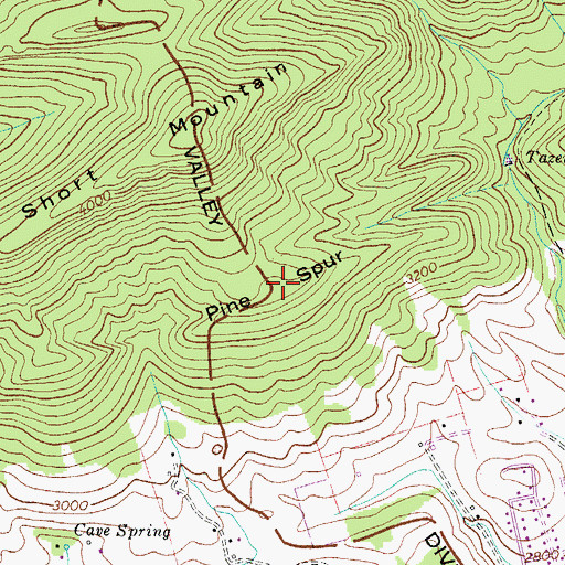 Topographic Map of Pine Spur, VA