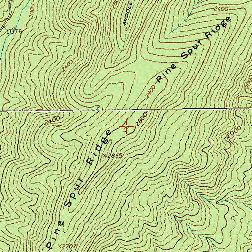 Topographic Map of Pine Spur Ridge, VA