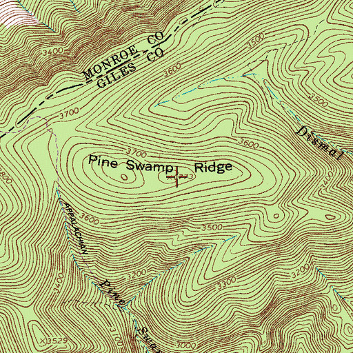 Topographic Map of Pine Swamp Ridge, VA