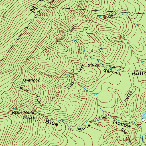 Topographic Map of Pine Tree Trail, VA