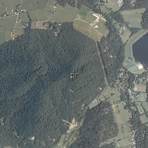 Aerial/Satellite Image of Piney Hill, VA