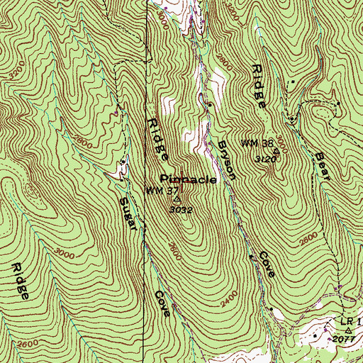 Topographic Map of Pinnacle, VA