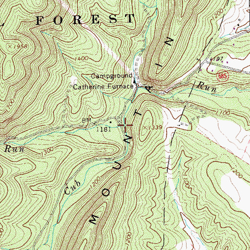 Topographic Map of Pitt Spring Run, VA