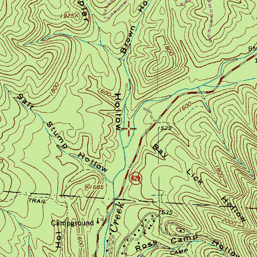 Topographic Map of Poplar Hollow, VA
