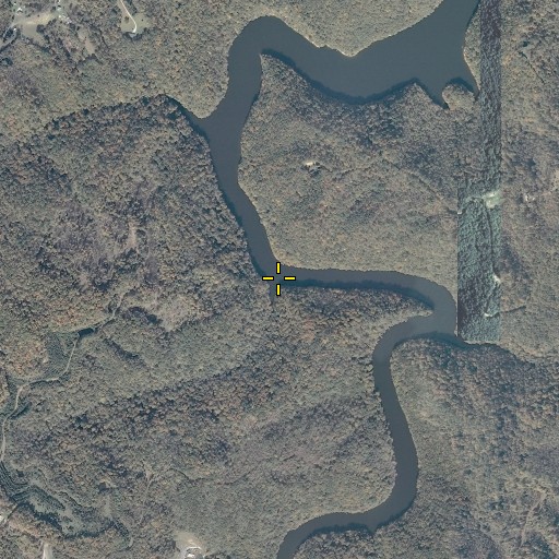 Aerial/Satellite Image of Pounding Tree Branch, VA