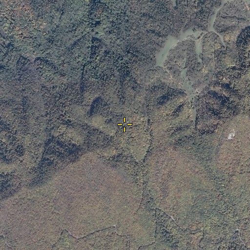 Aerial/Satellite Image of Price Gap, VA