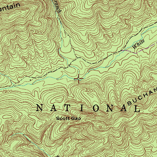 Topographic Map of Raccoon Branch, VA