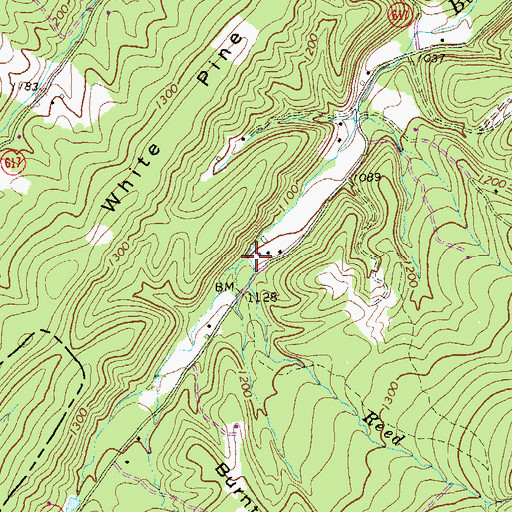 Topographic Map of Reed Creek, VA