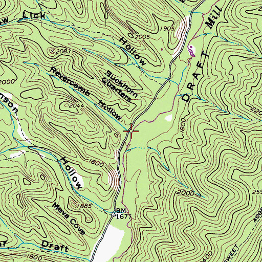 Topographic Map of Revercomb Hollow, VA