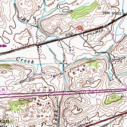 Topographic Map of Richardson Branch, VA