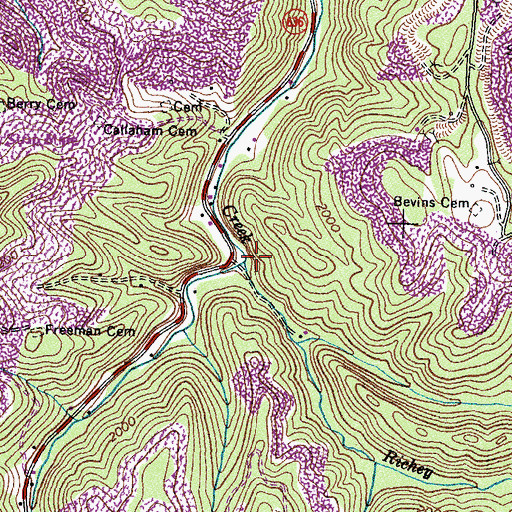 Topographic Map of Rickey Branch, VA