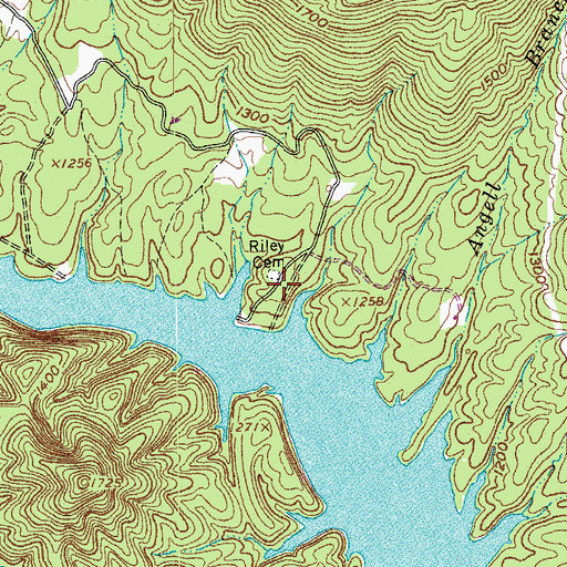 Topographic Map of Riley Cemetery, VA