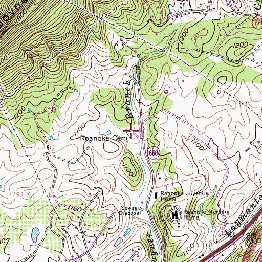 Topographic Map of Roanoke Cemetery, VA