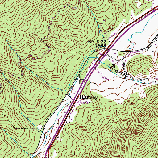 Topographic Map of Roaring Branch, VA