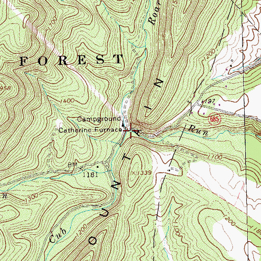 Topographic Map of Roaring Run, VA