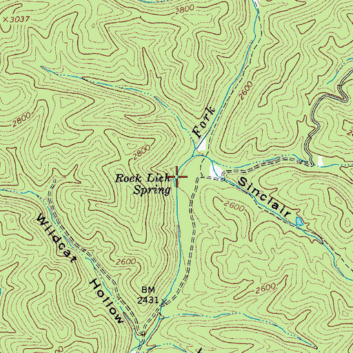 Topographic Map of Rock Lick Spring, VA