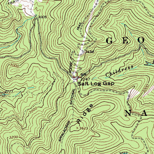 Topographic Map of Salt Log Gap, VA