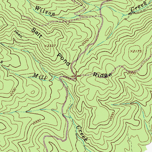 Topographic Map of Salt Pond Ridge, VA
