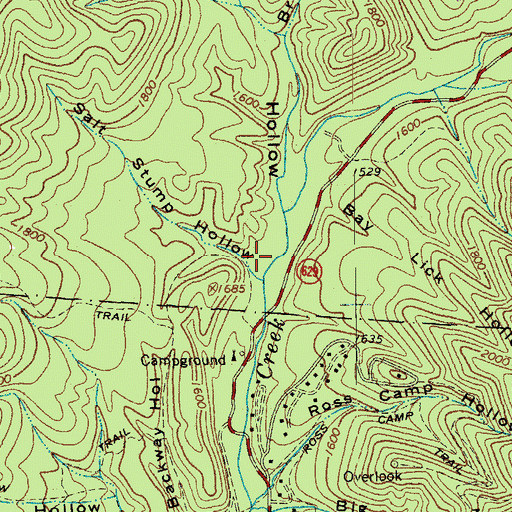 Topographic Map of Salt Stump Hollow, VA