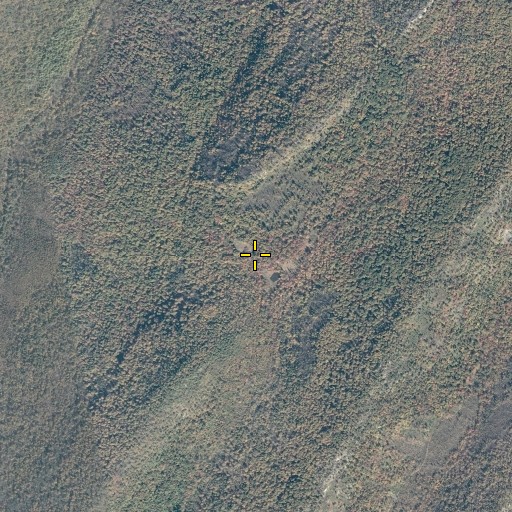 Aerial/Satellite Image of Scothorn Gap, VA