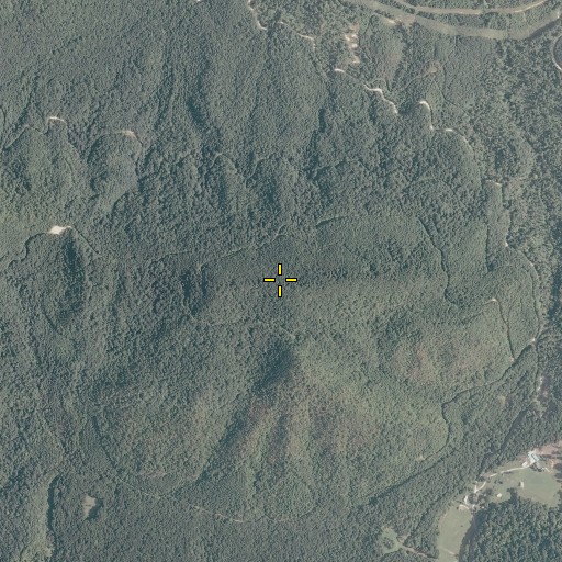 Aerial/Satellite Image of Scurff Mountain, VA