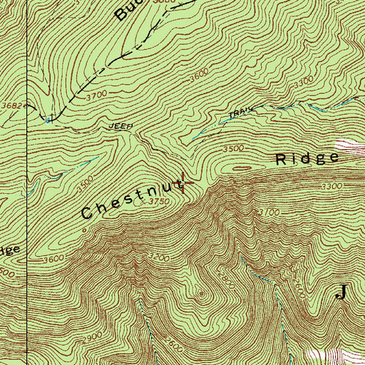 Topographic Map of Chesnut Ridge, VA