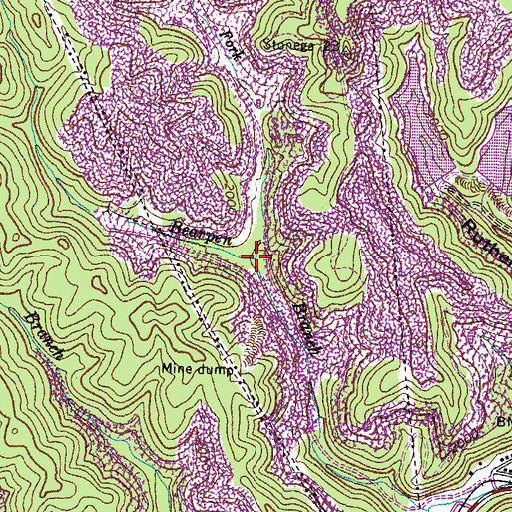Topographic Map of East Fork Bearpen Branch, VA
