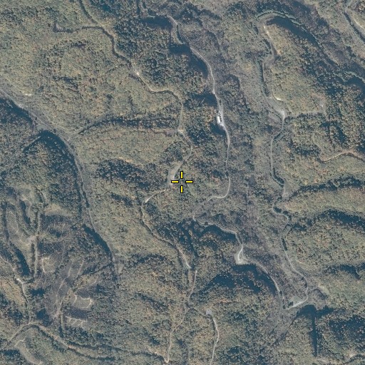 Aerial/Satellite Image of Fork Ridge, VA