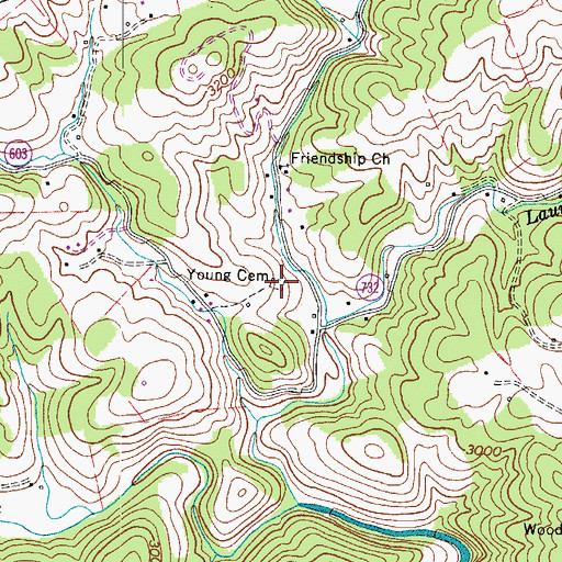 Topographic Map of Young Cemetery, VA