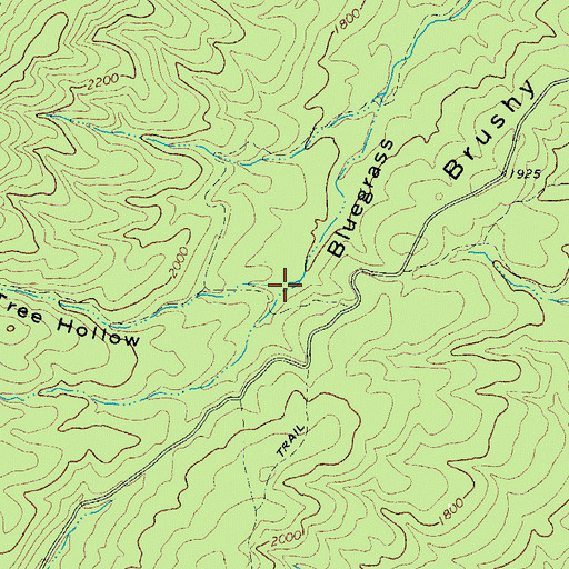 Topographic Map of Shingle Tree Hollow, VA