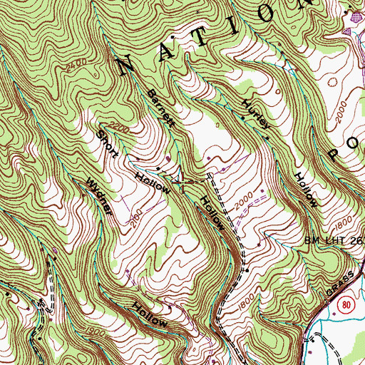 Topographic Map of Short Hollow, VA