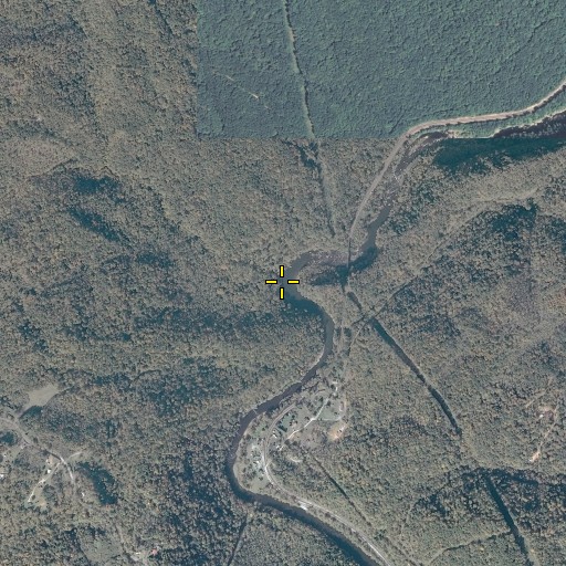 Aerial/Satellite Image of Skegg Branch, VA