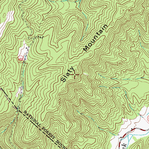 Topographic Map of Slaty Mountain, VA