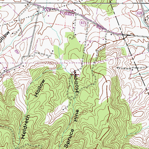 Topographic Map of Spruce Pine Hollow, VA