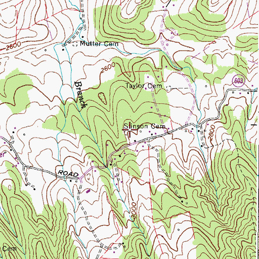 Topographic Map of Stinson Cemetery, VA