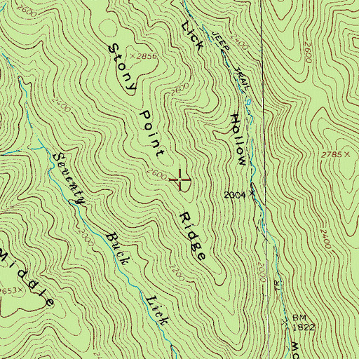 Topographic Map of Stony Point Ridge, VA