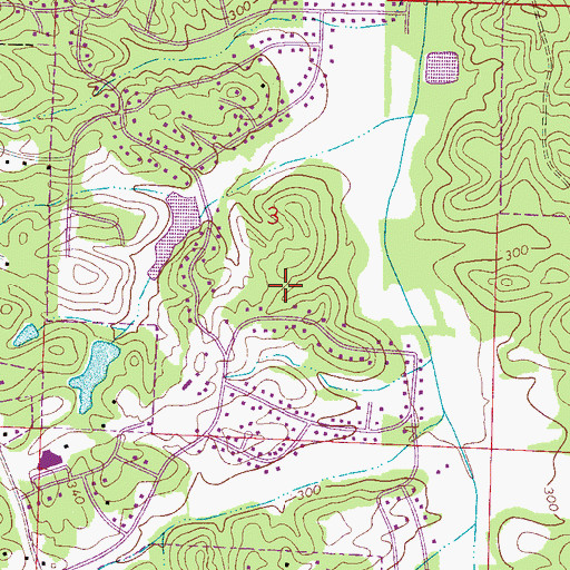 Topographic Map of Woodland Forest, AL
