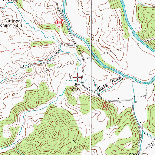 Topographic Map of Stuffle Run, VA